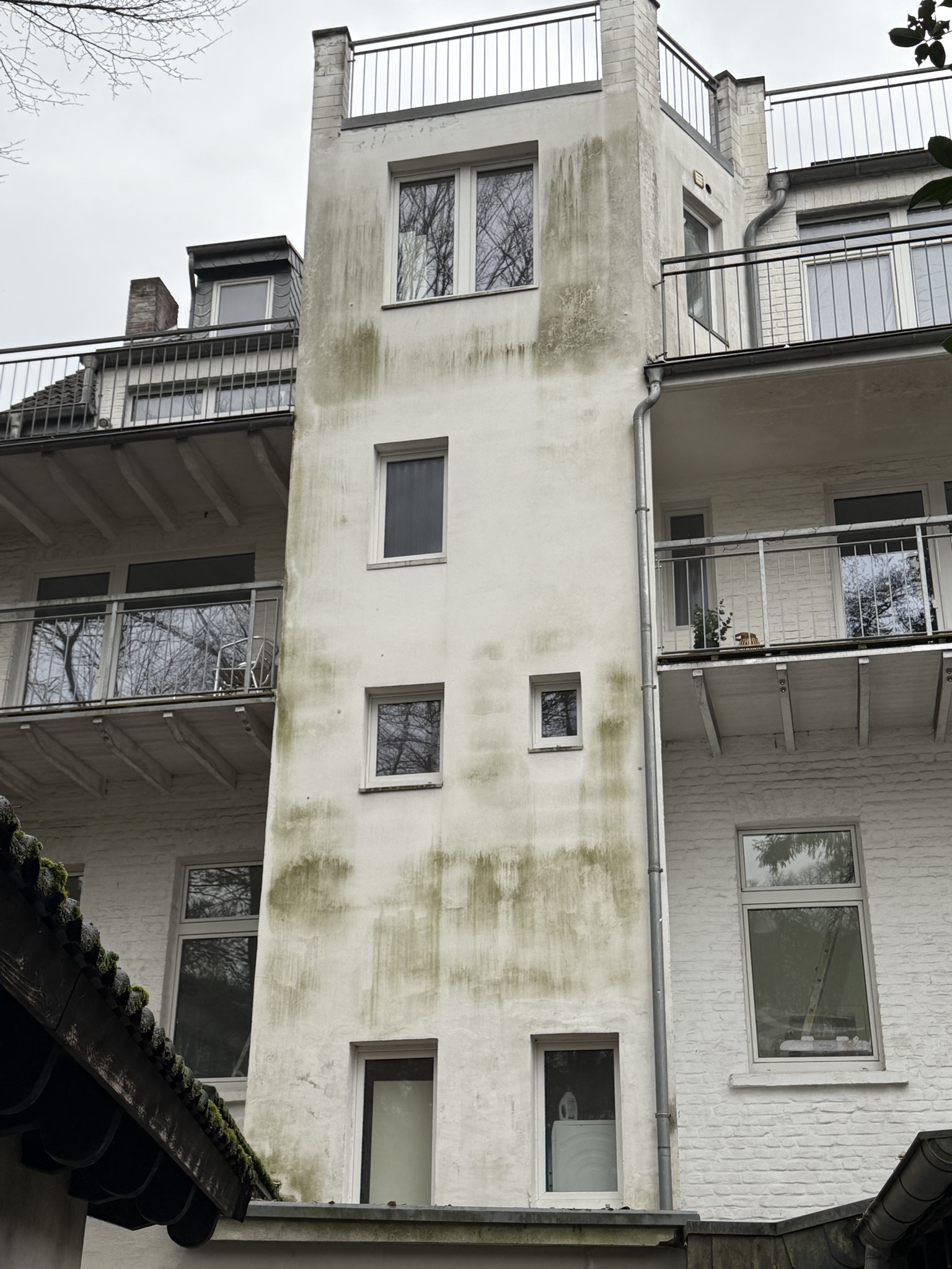 Fassadenreinigung vorher – starke Verschmutzung und Algenbefall